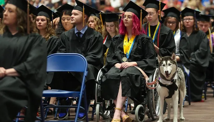 A group of graduates seated at graduation, featuring a student in a wheelchair accompanied by a service dog.